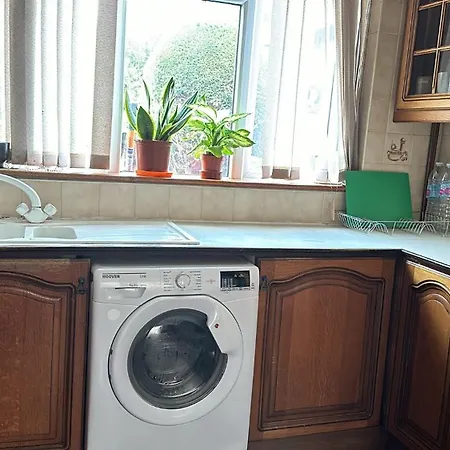 In Rose Meare Gardens